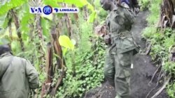 VOA60 Lingala 2 juin 222