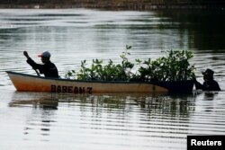 Penduduk setempat menggunakan perahu kayu untuk mengangkut benih pohon bakau yang akan ditanam di Bebatu, daerah terpencil di dekat Tarakan, provinsi Kalimantan Utara, Indonesia, 19 Oktober 2021. (REUTERS/Willy Kurniawan)