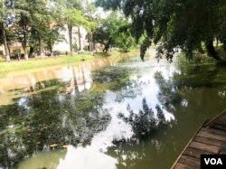 ទិដ្ឋភាព​នៃ​ដងស្ទឹង​សៀមរាប​ នា​ក្រុង​សៀមរាប​ ថ្ងៃទី​ ១៥ ​ខែ​កក្កដា​ ឆ្នាំ​២០២២​។​ (ហ៊ុល រស្មី​/វីអូអេ)