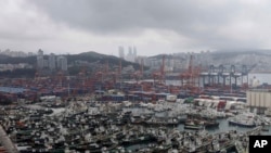 Sejumlah kapal nelayan berlabuh di pelabuhan di Busan, Korea Selatan, pada 4 September 2022, menjelang kedatangan Topan Hinnamnor. (Foto: Newsis via AP/Ha Kyung-min)