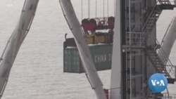  China, COVID-19, Lunar New Year: Perfect Storm for Supply Chain Delays