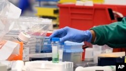 2020年3月12日研究员在康涅狄格州梅里登的实验室研究COVID-19疫苗