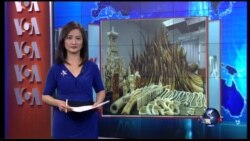 VOA卫视(2015年12月2日 第一小时节目)