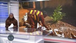 Kamar yawancin manoma wata mata Amona Chums a Jos ta kan fuskanci kalubale dabam-dabam musanman karancin takin zamani da kayaiyakin aiki