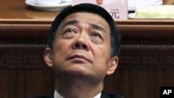 时任重庆市委书记的薄熙来人大会议期间