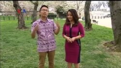 Kampanye Kotor dalam Pilpres AS