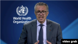 世卫组织总干事通过Skype接受美国之音专访。