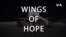 Alas Que Ayudan (Wings of Hope)
