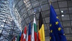 Zastave nekih od članica Evropske unije