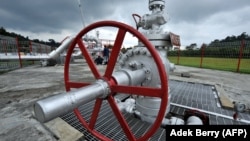 Pekerja PT. Pertamina Geothermal Energy memeriksa salah satu sumur produksinya di PLTP Kamojang pada 22 April 2010. Indonesia dan Selandia Baru terus mengembangkan kerja sama dalam bidang energi baru dan terbarukan, termasuk panas bumi. (Foto: AFP/Adek Berry)