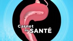 Carnet de Santé : Comprendre l’endométriose