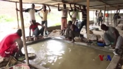 肯尼亚小金矿危险重重 肯尼亚小金矿危险重重