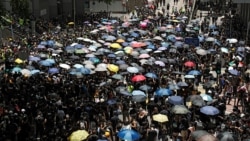 时事大家谈:港人集会呼吁国际声援, G20能否涉及香港议题? 时事大家谈:港人集会呼吁国际声援, G20能否涉及香港议题?