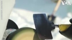 ဟာဘင်ရေခဲပန်းပုပွဲတော် ဟာဘင်ရေခဲပန်းပုပွဲတော်