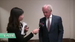 VOA连线：重量级议员：朝鲜问题关键在中国，但中国不愿负责