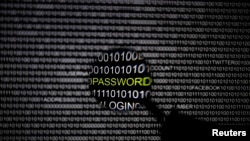 资料图：放大镜照着一个电脑屏幕，图片摄于柏林，2013年5月21日。