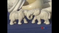 美国禁止象牙交易 全球协力拯救濒危大象