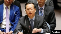 中国代表2018年4月14日在安理会支持俄罗斯批评联军空袭叙利亚（路透社）