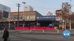 出现过多个新型冠状病毒肺炎病例的武汉华南海鲜批发市场，目前已经暂停营业。