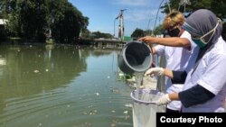 Pengambilan sample air sungai di Pegirian, Surabaya, untuk mengetahui tingkat pencemaran. (Foto: Courtesy of Ecoton)
