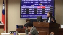 台湾亲民党籍立委陈怡洁在立法院质询陆委会官员（美国之音齐勇明拍摄，2019年10月30日）