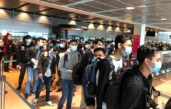 Pemulangan ABK Indonesia yang merupakan awak kapal pesiar Jerman, TUI Cruises. (foto: ilustrasi/Kemlu RI)