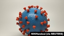 Foto tak bertanggal menunjukkan cetakan 3-D dari partikel SARS-CoV-2, juga dikenal sebagai novel coronavirus. Permukaan virus (biru) dilapisi dengan protein spike (merah) yang memungkinkan virus masuk dan menginfeksi sel manusia. (NIH/Handout via REUTERS)