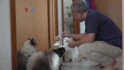 Memiliki Hewan Peliharaan, Atasi Kejenuhan Selama Pandemi