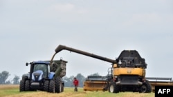 우크라이나 체르느히우에서 추수 작업이 진행 중이다 (자료 사진) 