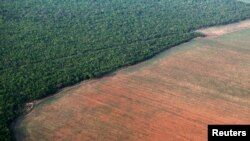 Hutan hujan Amazon (kiri), berbatasan dengan lahan gundul yang disiapkan untuk penanaman kedelai, terlihat dalam foto udara yang diambil di atas negara bagian Mato Grosso di Brazil barat. (Foto: Reuters)