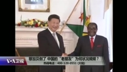 时事大家谈：穆加贝倒了，中国的“老朋友”为何状况频频？