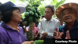 张志军参观木瓜果园（陆委会提供）