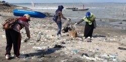 Para relawan memunguti sampah plastik yang banyak berserakan di pantai Kenjeran sisi timur Jembatan Suramadu (Foto: VOA/Petrus Riski)