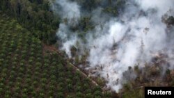 FILE - Pembakaran hutan di dekat perkebunan kelapa sawit di Kabupaten Kapuas, dekat Palangka Raya, Kalimantan Tengah, 30 September 2019. (Reuters). 