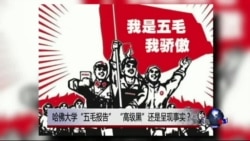 时事大家谈：哈佛大学“五毛报告”，“高级黑”还是呈现事实？