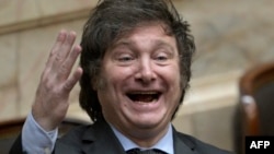 Argentina's President-elect Javier Milei gestures during a session at the Argentine Congress in Buenos Aires on Nov. 29, 2023, where he was officially declared winner of the election. Milei's government announced Nov. 30 that it would not be joining the BRICS group of nations.