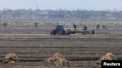 북한 신의주의 협동농장.