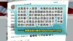 VOA连线(黄耀毅)：白宫：除了俄罗斯，中国、朝鲜、伊朗都干预美国大选