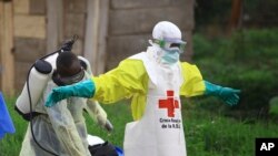 Mosali ya bokolongo azali kosokola moninga wa ye na nkisi na na BEni, Nord-kivu, 9 septembre 2018.