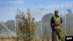 Stražar stoji pored granične ograde sa bodljikavom žicom na granici Letonije sa Rusijom, 16. avgust, 2024. (Foto: AFP/Gints Ivuskans)