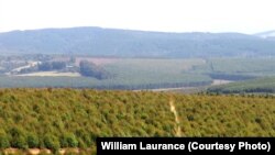 រូបឯកសារ៖ ទីតាំង​អភិវឌ្ឍន៍ដែល​មាន​ប្រវែង​​សរុប ៥៣.០០០គីឡូម៉ែត្រ ត្រូវ​បាន​គេ​ស្នើឡើង​ ឬ​កំពុង​ដំណើរការ​នៅ​ក្នុង​តំបន់​វាលខ្សាច់​សាហារ៉ានៃ​ទ្វីបអាហ្វ្រិក។