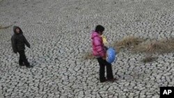 河南省一处干枯的水塘