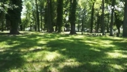 1619非奴系列(6): 第一个非奴公墓