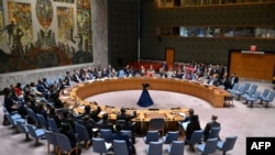 Savet bezbednosti UN (Foto: ANGELA WEISS / AFP)