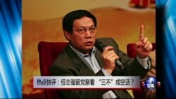 热点快评：任志强留党察看，“三不”成空话？