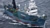 Australia, New Zealand Challenge Japan Over Whaling