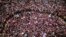 Dân Ai Cập biểu tình phản đối tại Quảng trường Tahrir ở Cairo, Ai Cập, 2/7/13