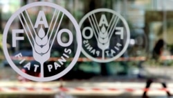 유엔, FAO 대북제재 면제 승인…이앙기와 컴퓨터, 비료 등 11종