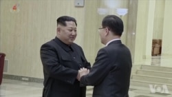 韩特使赴华盛顿通报韩朝会晤 蒂勒森说美将保持清醒 韩特使赴华盛顿通报韩朝会晤 蒂勒森说美将保持清醒