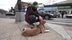 摒弃传统办公室 更多美国人加入“零工经济”